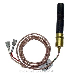 All Points 51-1348 Pilot Lights & Pilot Parts, Gas