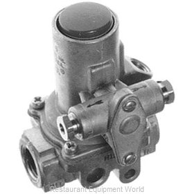All Points 54-1037 Pilot Lights & Pilot Parts, Gas