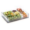 Tarro para Ensalada
 <br><span class=fgrey12>(Cal-Mil Plastics 1393-12 Display Tray, Market / Bakery)</span>