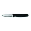 Dexter Russell P40003 Knife, Paring