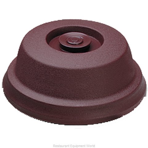 Dinex DX113861 Thermal Pellet Dome Cover
