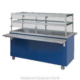 Dinex DXPR6CI Cold Food Well Unit, Drop-In, Ice-Cooled