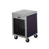 Módulo para La Caja Registradora
 <br><span class=fgrey12>(Duke 306-25PG Cash Register Stand)</span>