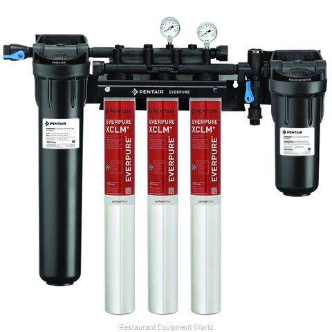 everpure filtration