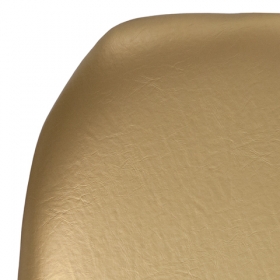 Gold Vinyl Cushion