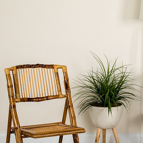 Bamboo Folding Chair