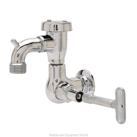 Fisher 29548 Faucet, Single Wall Mount, with Hose Threads