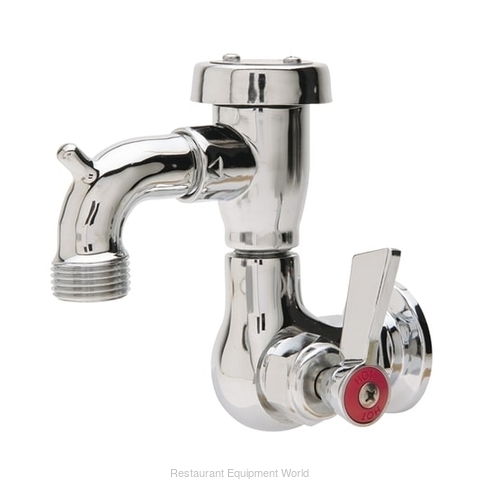 Fisher 29550 Faucet, Single Wall Mount, with Hose Threads