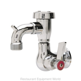 Fisher 29550 Faucet, Single Wall Mount, with Hose Threads