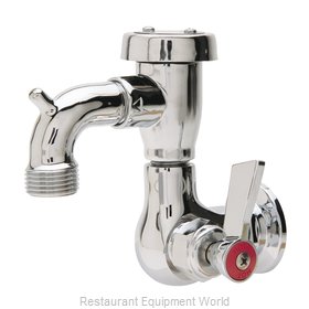 Fisher 29556 Faucet, Single Wall Mount, with Hose Threads