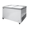 Arcón Congelador
 <br><span class=fgrey12>(Nor-Lake FTB31-6 Chest Freezer)</span>