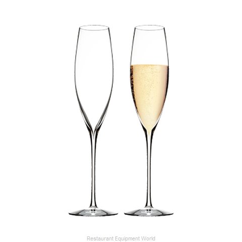 Royal Doulton USA 40006558 Champagne Glass