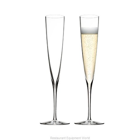Royal Doulton USA 40006560 Champagne Glass