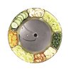 Robot Coupe 28004 Food Processor, Slicing Disc Plate