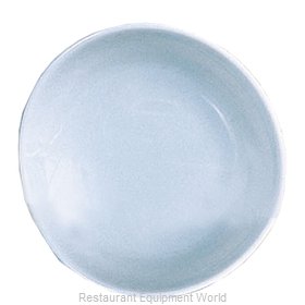 Thunder Group 1910 Plate, Plastic