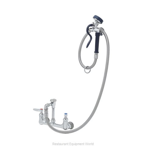 TS Brass B-0167-02 Faucet with Spray Hose