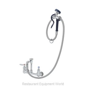 TS Brass B-0167-02 Faucet with Spray Hose