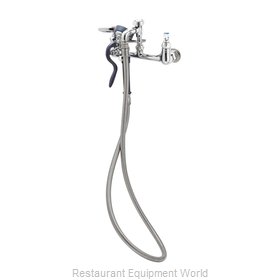 TS Brass B-0167 Faucet with Spray Hose