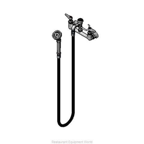 TS Brass B-0168 Faucet with Spray Hose
