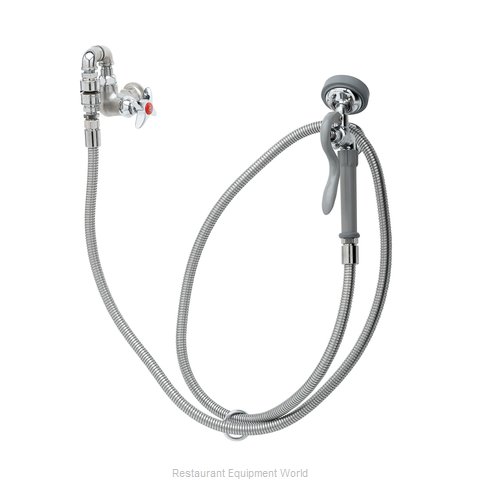 TS Brass B-0169-01 Faucet with Spray Hose