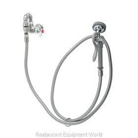 TS Brass B-0169-01 Faucet with Spray Hose