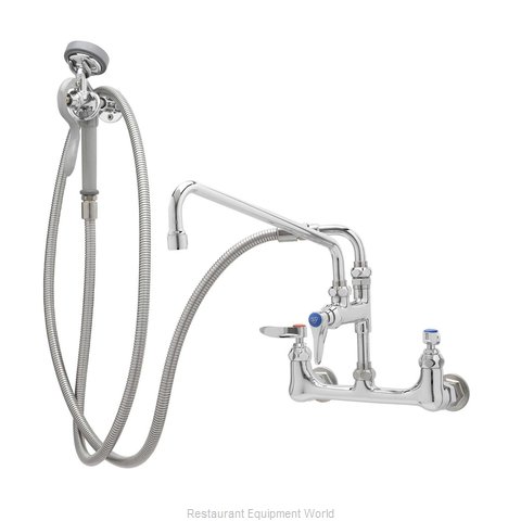 TS Brass B-0175-02 Faucet with Spray Hose