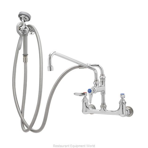 TS Brass B-0175-06 Faucet with Spray Hose (Magnified)