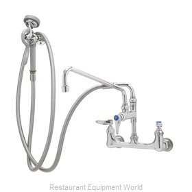 TS Brass B-0175 Faucet with Spray Hose