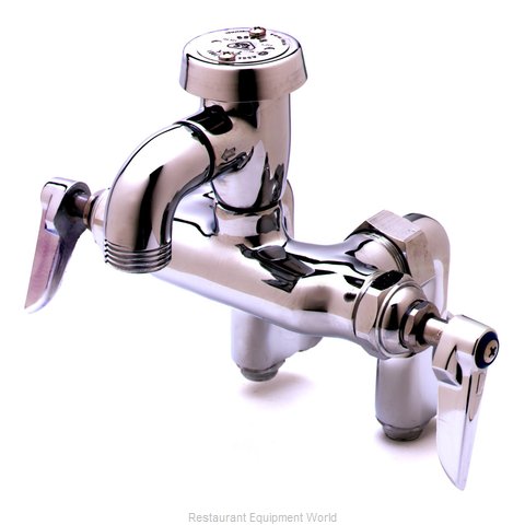 TS Brass B-0670-POL Faucet, Service Sink