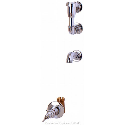 TS Brass B-0692 Faucet, Service Sink