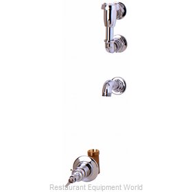 TS Brass B-0692 Faucet, Service Sink