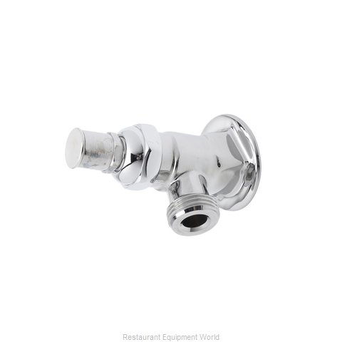 TS Brass B-0730-POL Faucet, Single Wall Mount, with Hose Threads