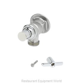 TS Brass B-0731-POL Faucet, Single Wall Mount, with Hose Threads