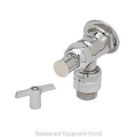TS Brass B-0737-POL Faucet, Single Wall Mount, with Hose Threads