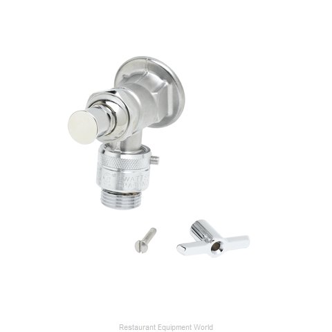 TS Brass B-0737 Faucet, Single Wall Mount, with Hose Threads