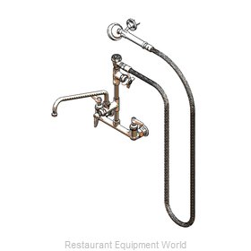 TS Brass B-2308 Faucet with Spray Hose