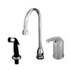 TS Brass B-2743 Faucet with Spray Hose