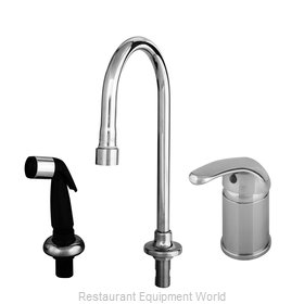 TS Brass B-2744 Faucet with Spray Hose