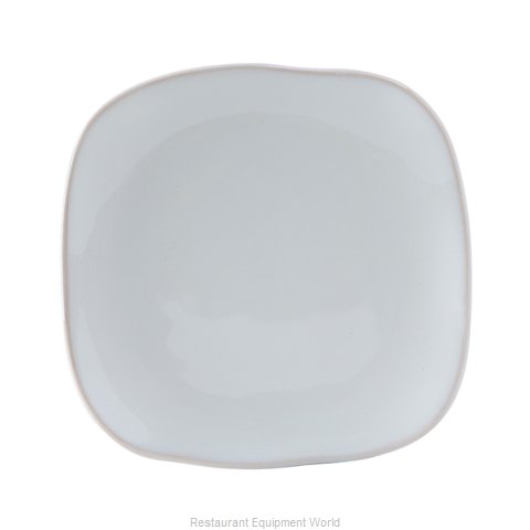Tuxton China GAA-501 Plate, China