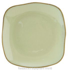 Tuxton China GAS-502 Plate, China