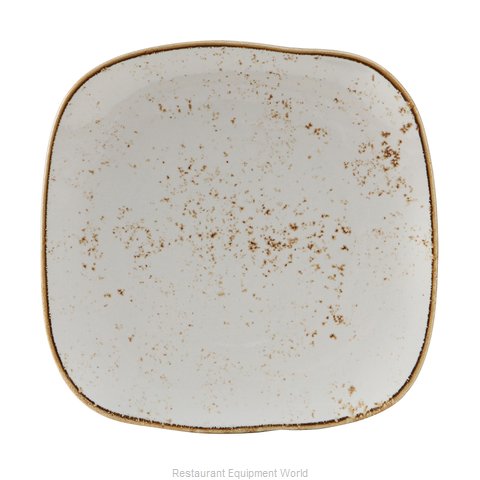 Tuxton China GGA-501 Plate, China