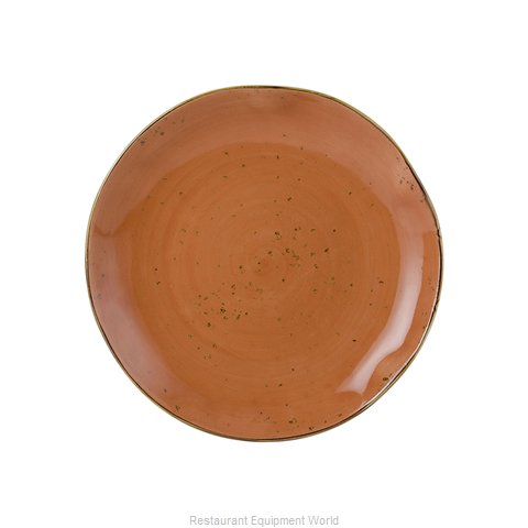 Tuxton China GGC-006 Plate, China