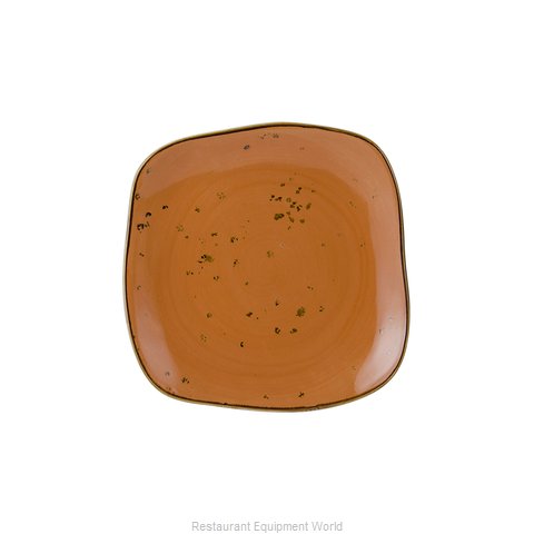 Tuxton China GGC-500 Plate, China