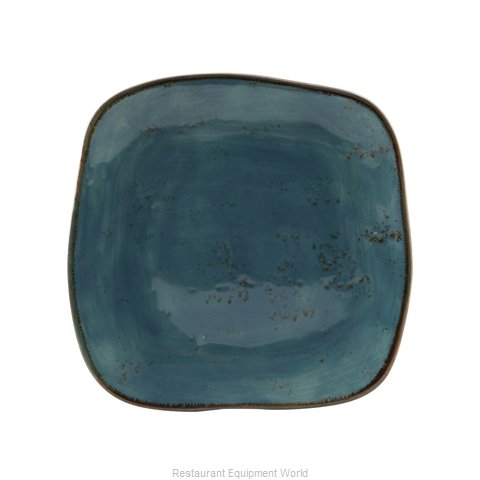 Tuxton China GGE-500 Plate, China