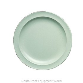 Yanco China NS-105G Plate, Plastic